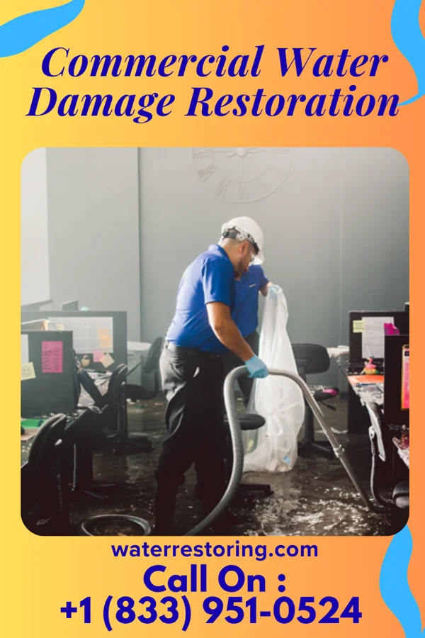 Commercial Water Damage Restoration in Lanesboro, MN